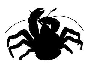 Crab Silhouette v7 Decal Sticker 