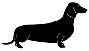 Dachshund v2 Decal Sticker 