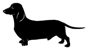 Dachshund v3 Decal Sticker 