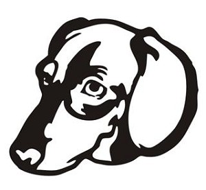 Dachshund Head Decal Sticker 