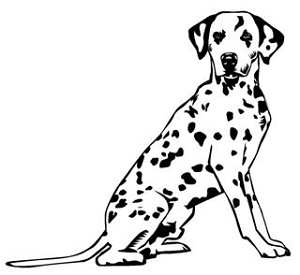 Dalmatian v2 Decal Sticker 