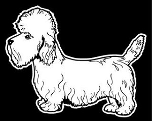 Dandie Dinmont Terrier Decal Sticker 
