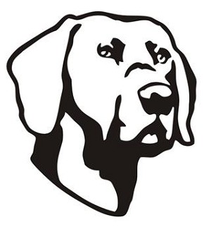 Dog Head v5 Decal Sticker 