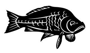 Fish v1 Decal Sticker 