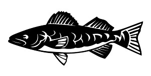 Fish v10 Decal Sticker 