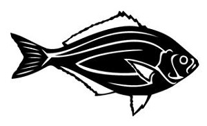 Fish v3 Decal Sticker 