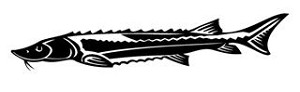 Fish v4 Decal Sticker 