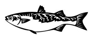 Fish v7 Decal Sticker 