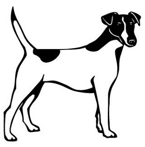 Fox Terrier Decal Sticker 
