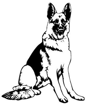 German Shepherd v2 Decal Sticker 