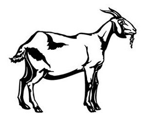 Goat Decal Sticker 