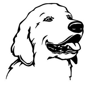 Golden Retreiver Head Decal Sticker 