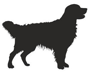 Golden Retriever Silhouette Decal Sticker 