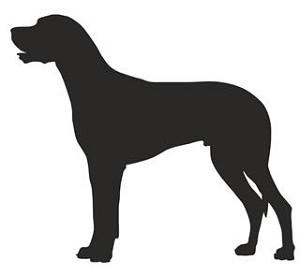 Great Dane Silhouette Decal Sticker 