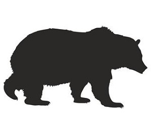 Grizzly Bear Silhouette Decal Sticker 
