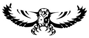 Hawk v3 Decal Sticker 
