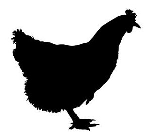 Hen Silhouette Decal Sticker 