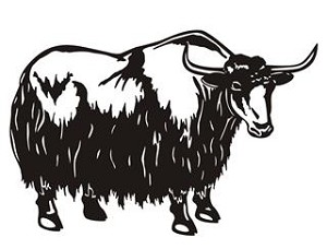Highland Cattle v2 Decal Sticker 