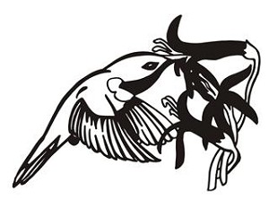 Hummingbird and Flower Decal Sticker 