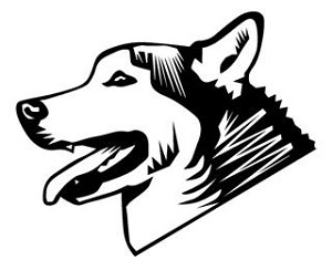 Husky Head Decal Sticker 