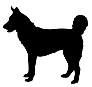 Husky Silhouette Decal Sticker 