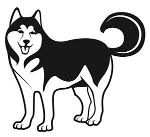 Husky Decal Sticker 