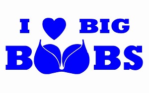 I Love Big Boobs Decal Sticker 
