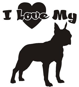 I Love My Boston Terrier Decal Sticker 