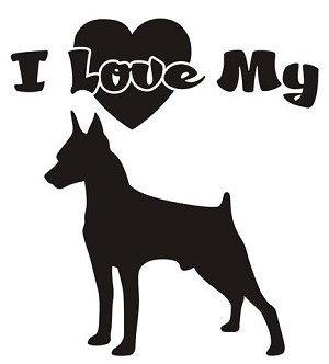 I Love My Doberman Decal Sticker 