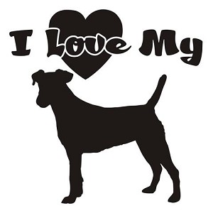 I Love My Fox Terrier Decal Sticker 