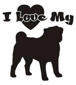 I Love My Pug Decal Sticker 