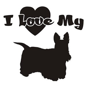 I Love My Scottish Terrier Decal Sticker 