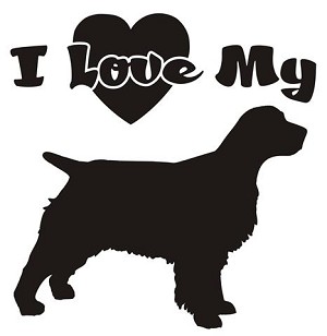I Love My Springer Spaniel Decal Sticker 