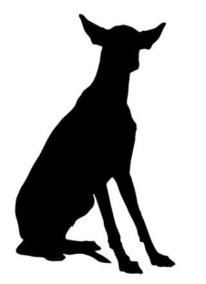 Ibizan Hound Silhouette Decal Sticker 