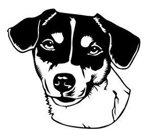 Jack Russell Head v2 Decal Sticker 