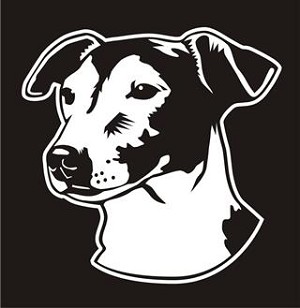 Jack Russell Head v3 Decal Sticker 