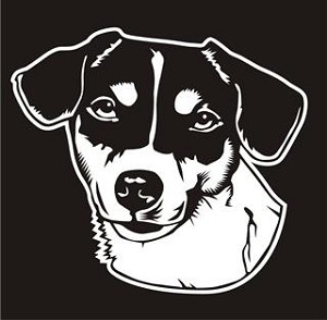 Jack Russell Head v4 Decal Sticker 