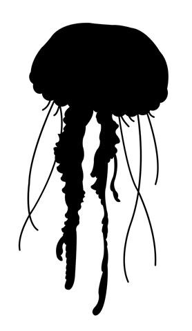 Jellyfish Silhouette  v3 Decal Sticker 