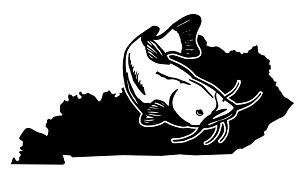 Kentucky Catfish Decal Sticker 
