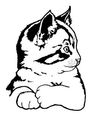 Kitten v2 Decal Sticker 