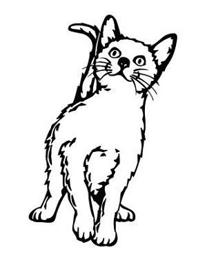 Kitten v3 Decal Sticker 