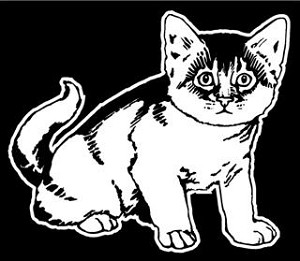 Kitten Decal Sticker 