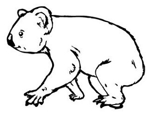 Koala Bear v2 Decal Sticker 