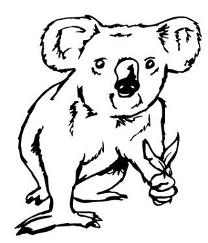 Koala Bear 3 Decal Sticker 