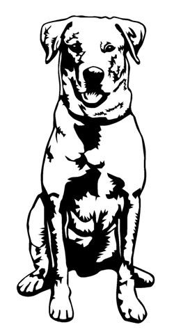 Labrador v2 Decal Sticker 