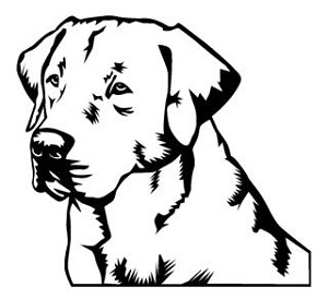 Labrador Head Decal Sticker 