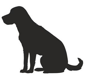 Labrador Retriever Silhouette Decal Sticker 