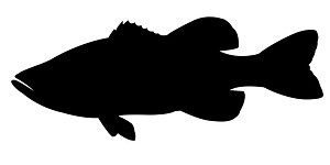 Large mouth Bass Silhouette Decal Sticker 