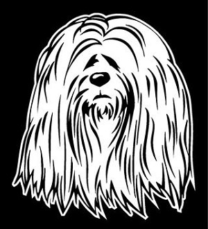 Lhasa Apso Head Decal Sticker 