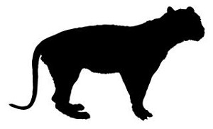 Lion Silhouette v5  Decal Sticker 